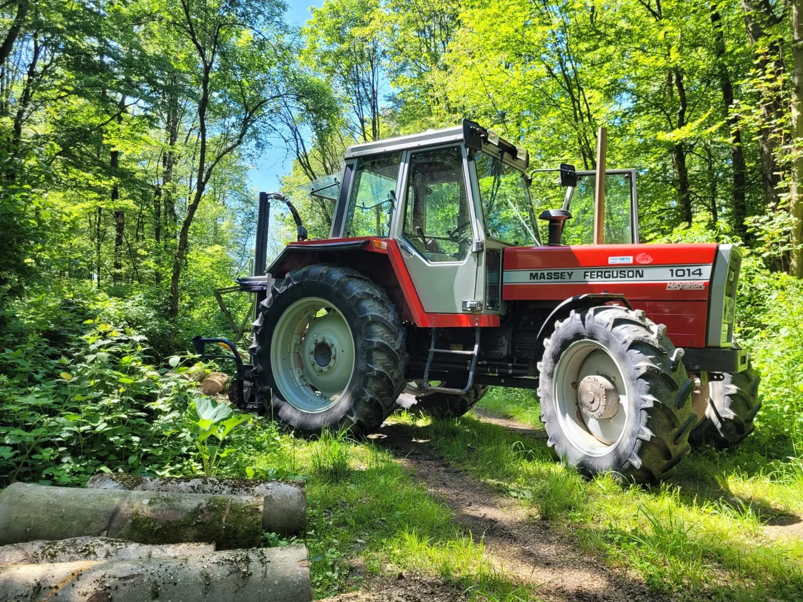 Schlepper bei der Brennholzaufarbeitung in Bad Rappenau