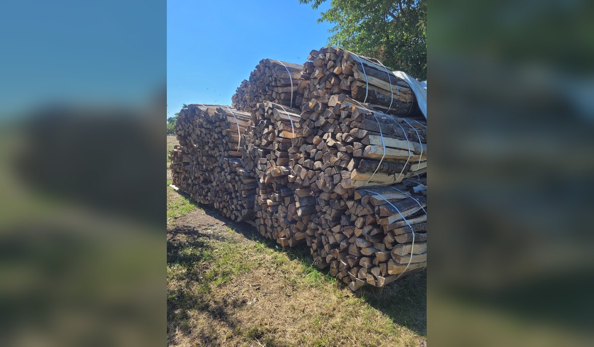 Ein ganzer gebündelter Raummeter Brennholz