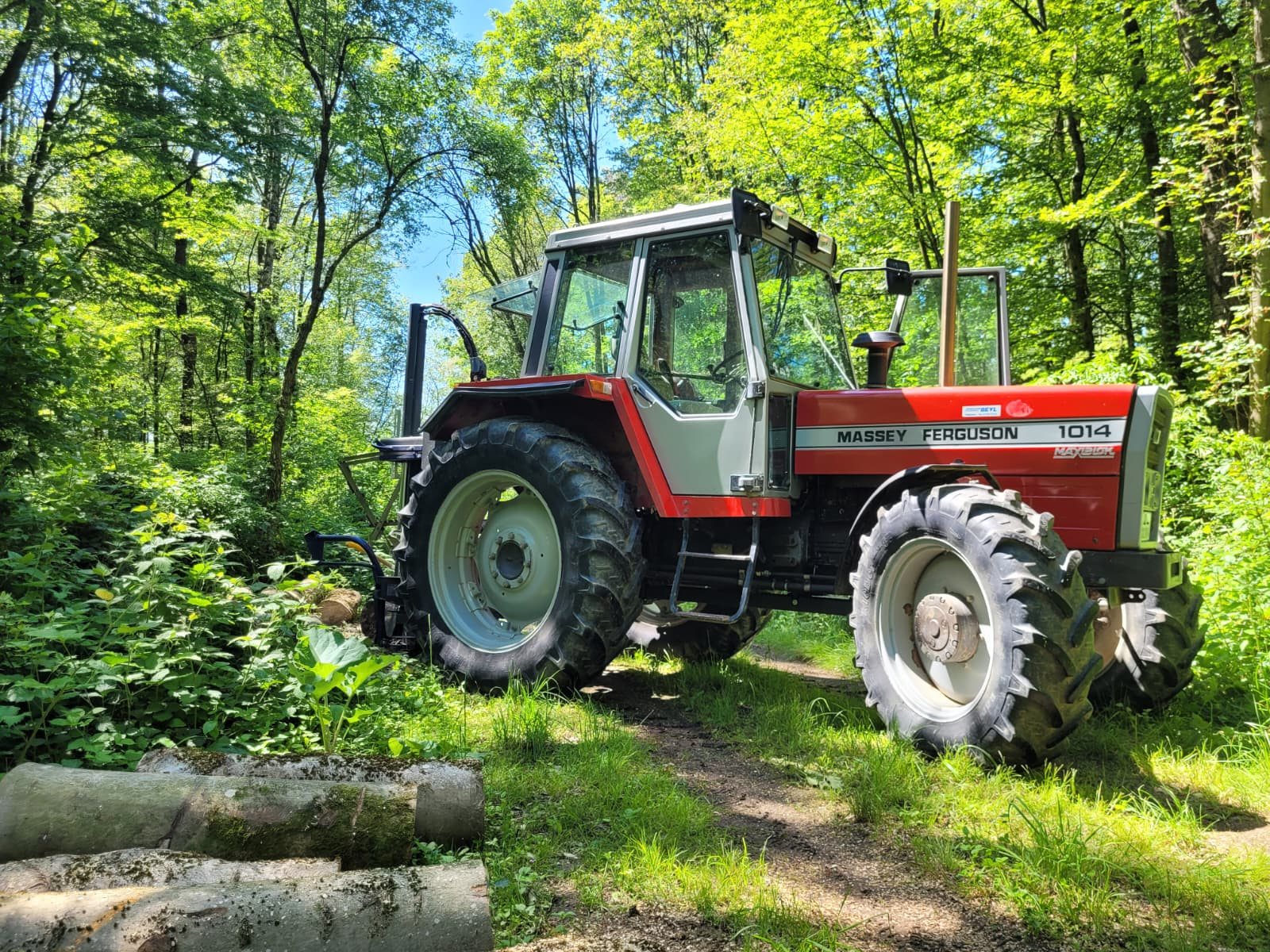 Schlepper im Wald bei der Brennholzaufarbeitung